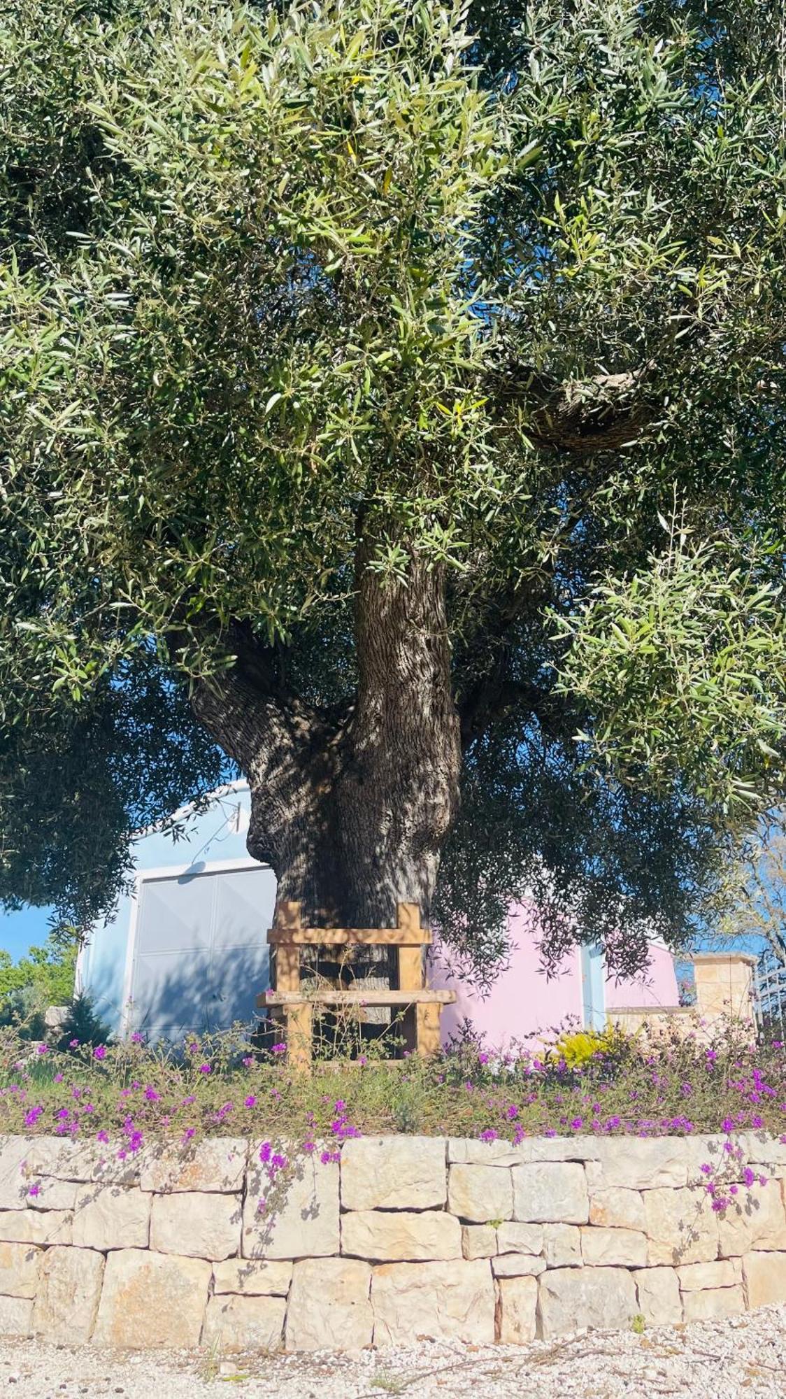 Trullo Sovrano Exclusive B&B Cisternino Esterno foto